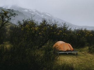 health benefits of camping