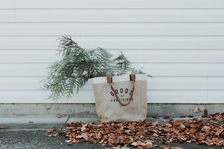 green shopping bag